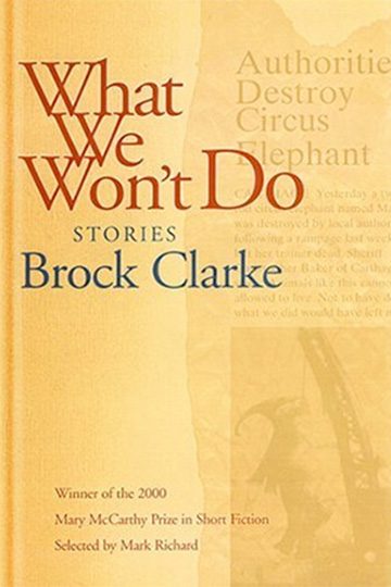 What We Won’t Do: Stories