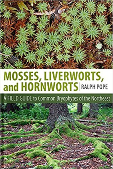 Mosses, Liverworts, and Hornworts: A Field Guide to Common Bryophytes of the Northeast